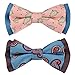 Blueberry Pet Spring Gift Box with Pack of 2 Handmade Dog Cat Bow Tie, Paisley Fave Designer Bowtie Set, 3