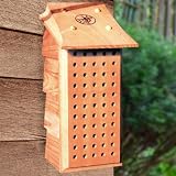 Schrodt Designs Model ML Mason Bee Lodge