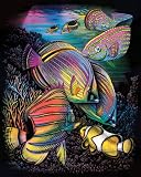 Review Oasis PPCOLF105 / Oasis - Colourfoil Fish Montage