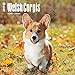 Welsh Corgis 2017 Wall Calendar