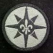 316th Sustainment Brigade ACU Patch Foliage Green