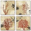 Coral Impressions Set by Tandi Venter 15"x15" Art Print Poster