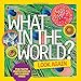 What in the World: Look Again: Fun-tastic Photo Puzzles for Curious Minds (National Geographic Kids)