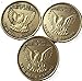Bulk Lot of 3 Phoenix Out of The Ashes of Addiction Renewal Growth Serenity Prayer Medallion Chip Set