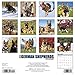 2016 Just German Shepherds Wall Calendar