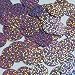 Round Flat Sequin 20mm Top Hole Light Lavender Hologram Glitter Sparkle. Couture Paillettes. Made in USA