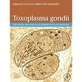 toxoplasma gondii the model apicomplexan perspectives and methods