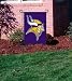 Minnesota Vikings Garden/Window Flag
