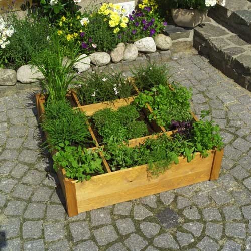 Promex Kräuterbeet