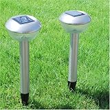 Stainless Steel Solar Landscape Light - Two lights per order!