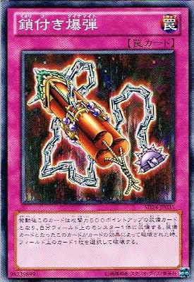  �y �V�Y�� �J�[�h �z �s ���t�����e �t(�m�[�}��)�y�����̋}�P�zsd24-jp035