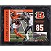 Chad Ochocinco Cincinnati Bengals 8x10 Color Plaque