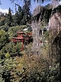 View to Japanese Garden, Monte Palace Tropical Garden, Funchal, Madeira, Portugal Photographic Poster Print by Jenny Pate, 9x12
