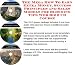 The Mega How To Earn Extra Money, Success Principles and Sales Models for Blogging Tips Web Biz 3 CD Course by Don Z Jones
