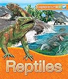 Reptiles