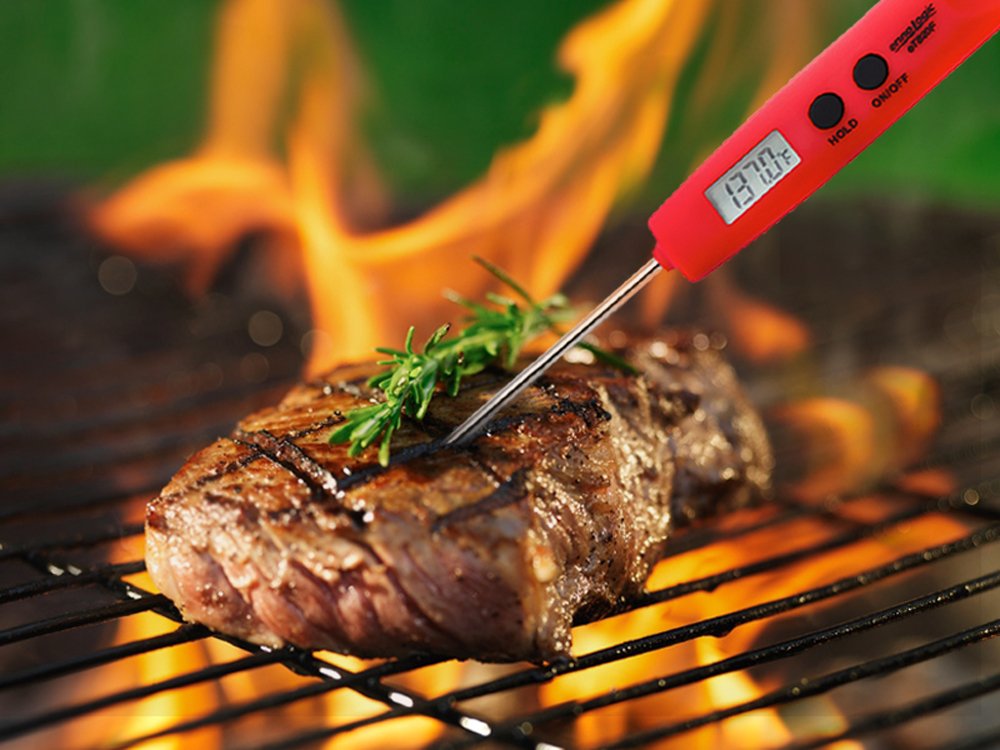 Amazon.com: Digital Meat Thermometer - High Quality Instant Read ...