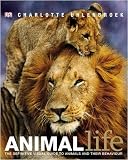 Animal Life: The Definite Visual Guide to Animals and Their Behaviour
