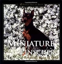 Miniature Pinscher: Reigning King of Toys