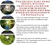 The Guru's Generate Extra Cash, Marketing and Inner Game for Science Fiction Action Figures Web Biz 3 Course + Resource Guide