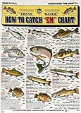 Tight Lines Freshwater Fish Chart #4