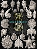 Produkt-Bild: Ernst Haeckel: Kunstformen der Natur - Kunstformen aus dem Meer