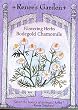 Chamomile Bodegold Seeds 1000 Seeds