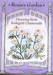 Chamomile Bodegold Seeds 1000 Seeds