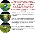 Massive Cash Flow Pack with Marketing, Success Principles and Inner Game for Gardening Spades Businesses 3 CD Power Pack