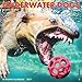 Underwater Dogs 2017 Small Wall Calendar