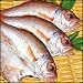 父の日 ギフトオプション のどぐろ　干物　お試し 高級魚【島根県産　出雲産】のどぐろ開き　130g×3枚セット