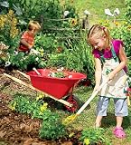 Wheelbarrow and Long-Handled Tool Set Children's Gardening Special