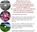 The Guerilla Marketing, Building Effective Lead Capture Web Pages, SIVA Marketing for Nothing Down Real Estate Courses Businesses