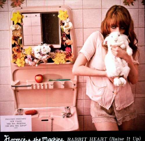 Florence + the Machine - Rabbit Heart (Raise It Up) (Ja Lyrics - Zortam Music