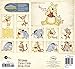 Disney Winnie the Pooh 2015 Calendar