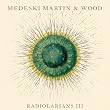 Radiolarians III