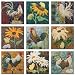 McKenna Ryan Pine Needles All Cooped Up Rooster Quilting Patterns