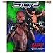 UFC Mixed Martial Arts Anderson Silva 27-by-37 inch Vertical Flag