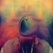 Melt [VINYL]