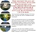 The Special Generate Extra Cash, Marketing and Inner Game for Rechargeable Battery Ch...