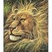 Eminent Domain Jigsaw Puzzle 550 Piece