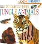 Touch and Feel: Jungle Animals