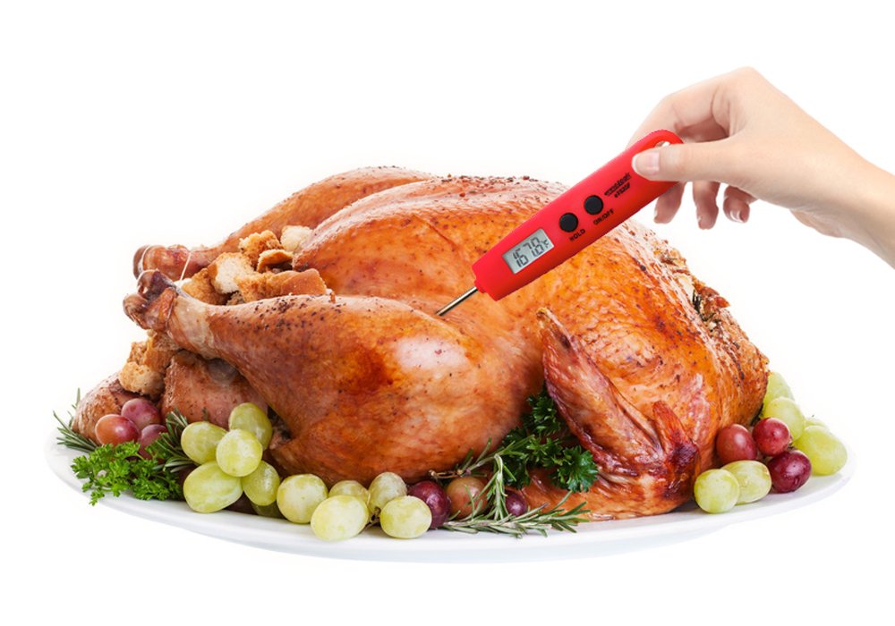 Amazon.com: Digital Meat Thermometer - High Quality Instant Read ...