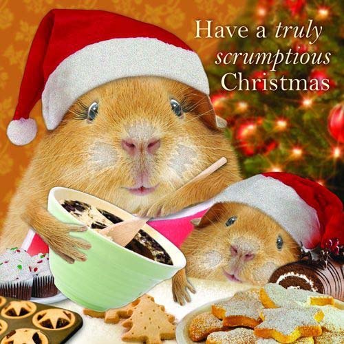 Weihnachtskarte - Truly Scrumptious - Kekse backen 