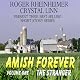 The Stranger: Amish Forever, Book 1