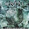 VI-Translucida