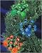 Set Of 100 Multi Ultra Burst Cluster Mini Christmas Lights Green Wire #ES77-332