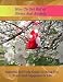 How To Get Rid of Stress And Anxiety Essential Self Help Guide To Bring You Peace And Happiness In Life