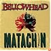Matachin