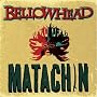 Matachin