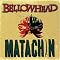 Bellowhead Foto 3